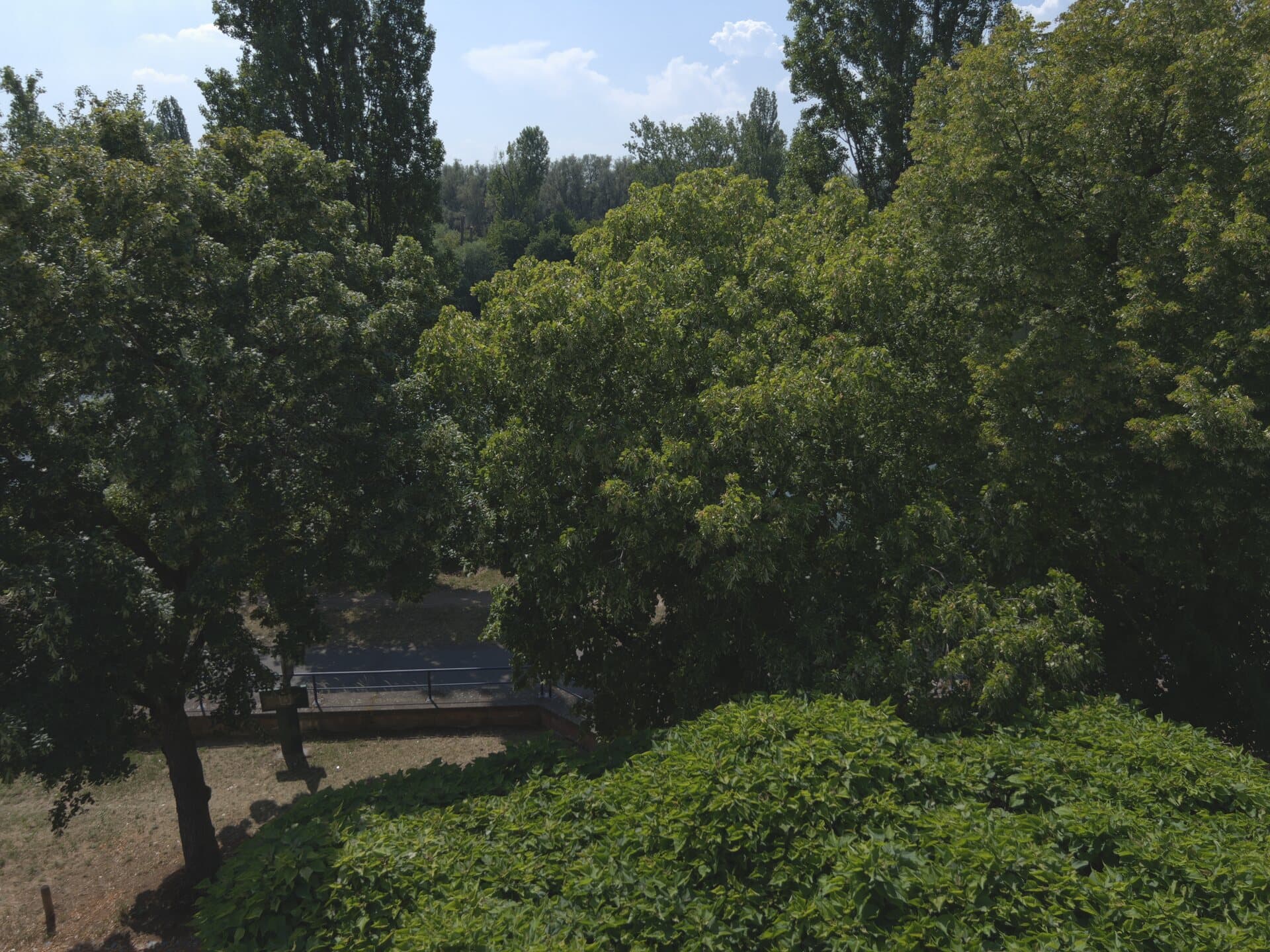 Aussicht auf die Mainpromenade