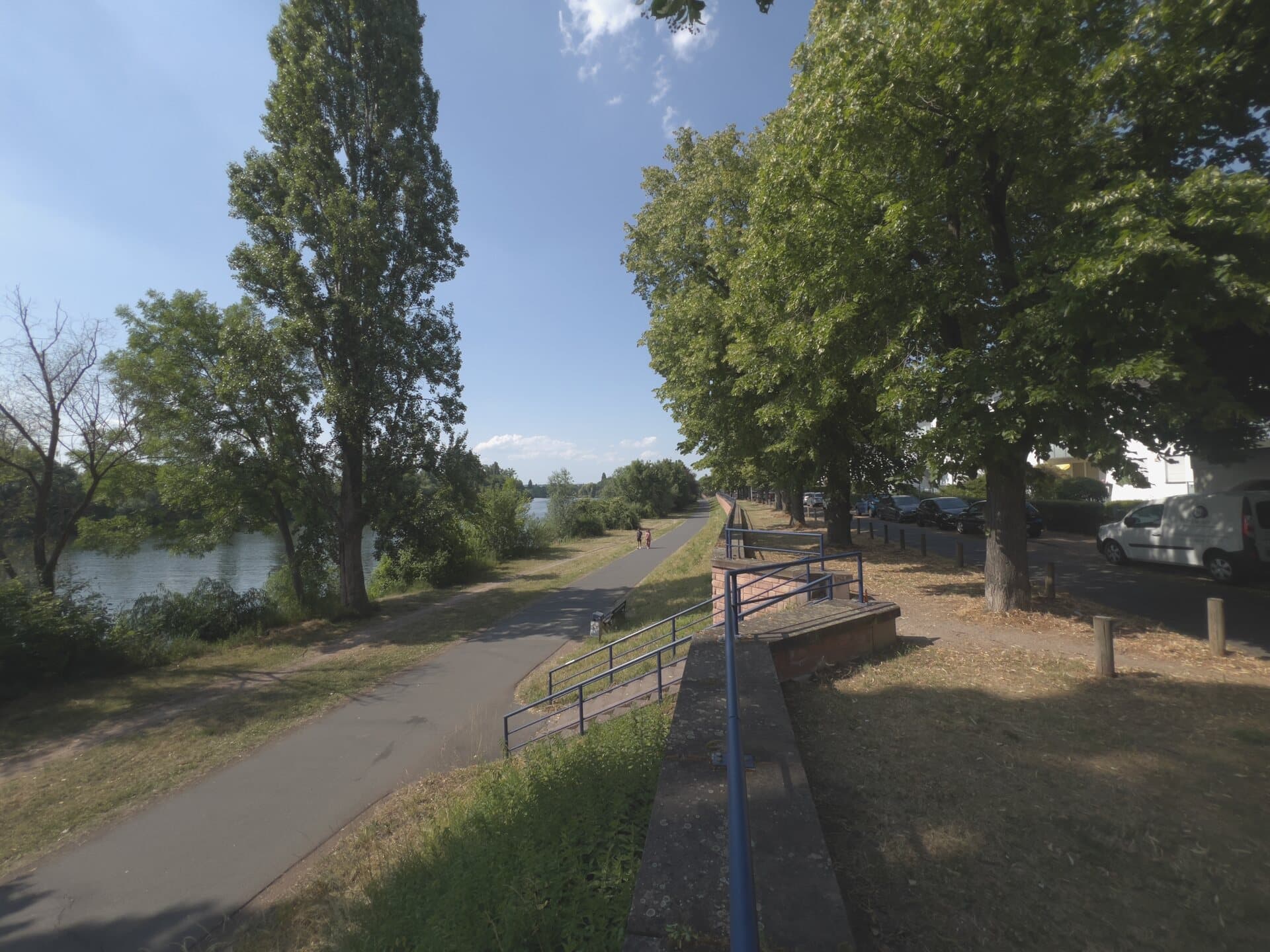 Mainufer mit Fuß- und Radweg