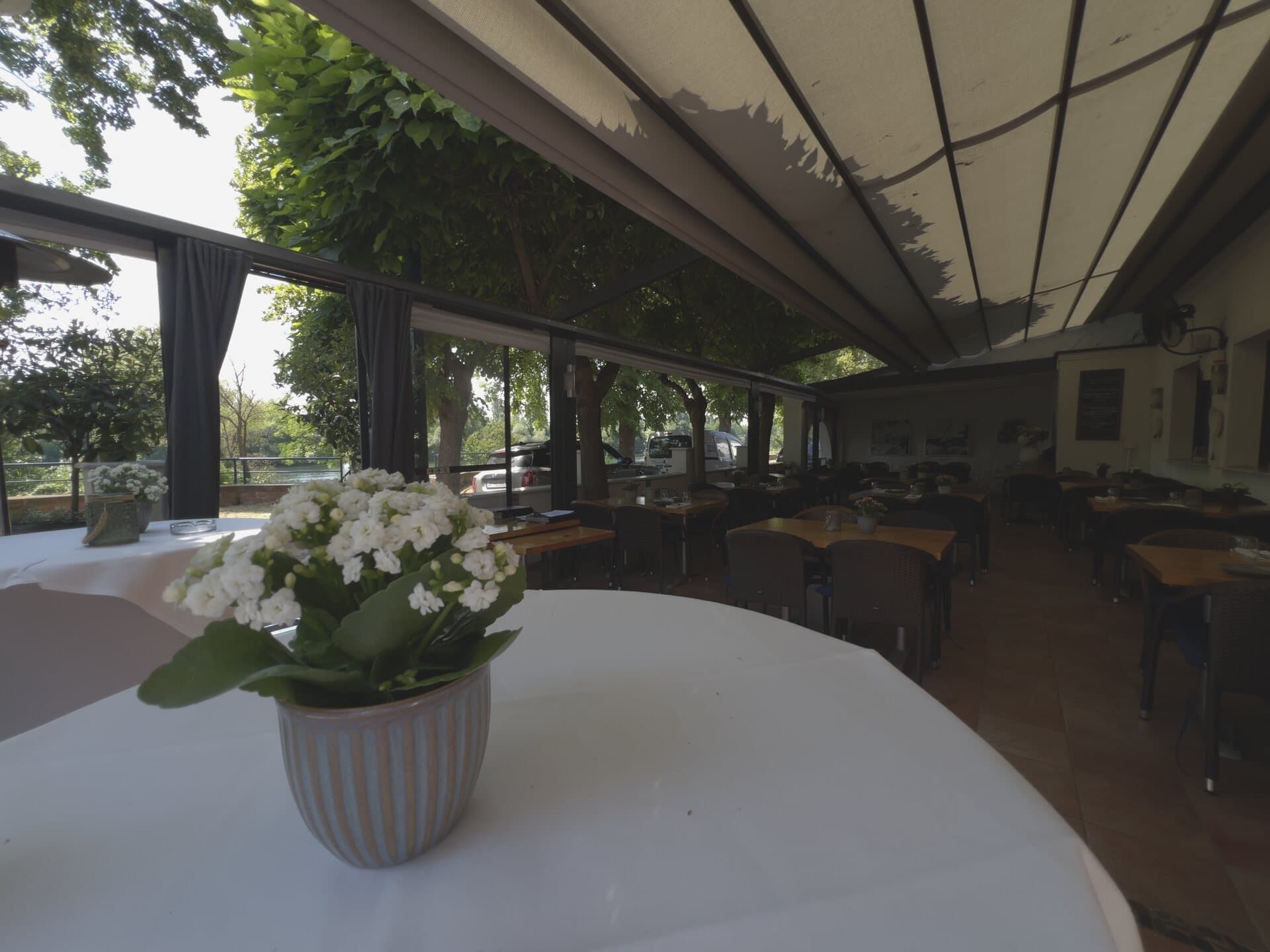 Überdachte Terrasse mit Mainblick