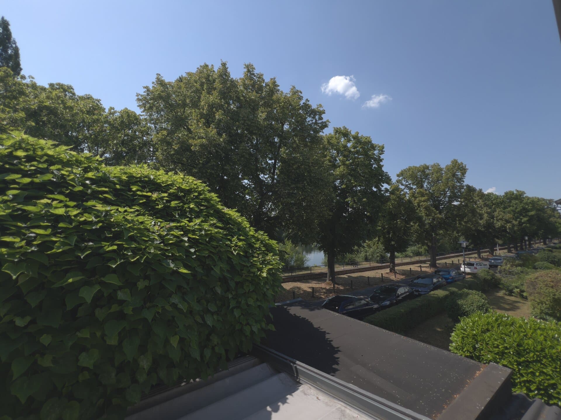 Grünblick mit altem Baumbestand